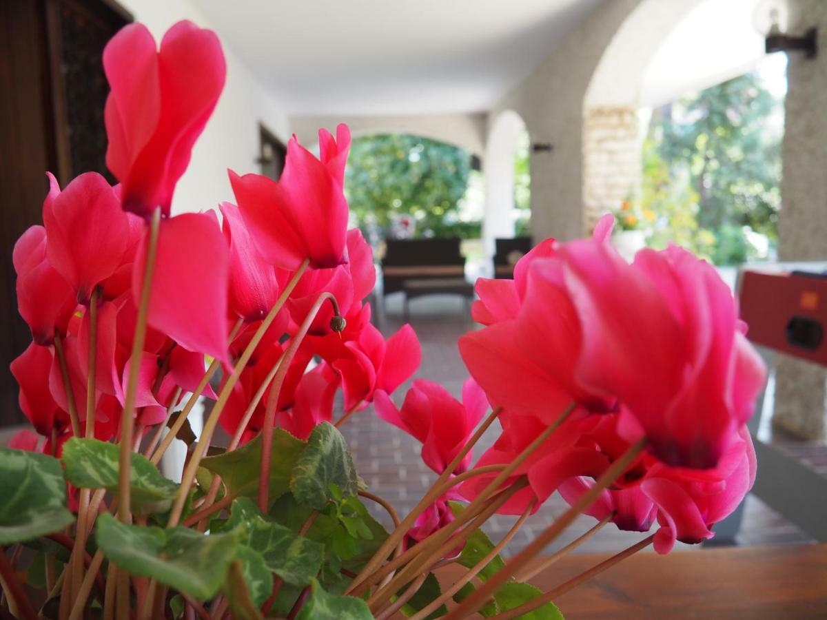 B&B Villa Filotea & Apartment Desenzano del Garda Exteriér fotografie